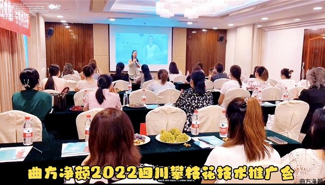 8.24���������Ĵ���֦���������